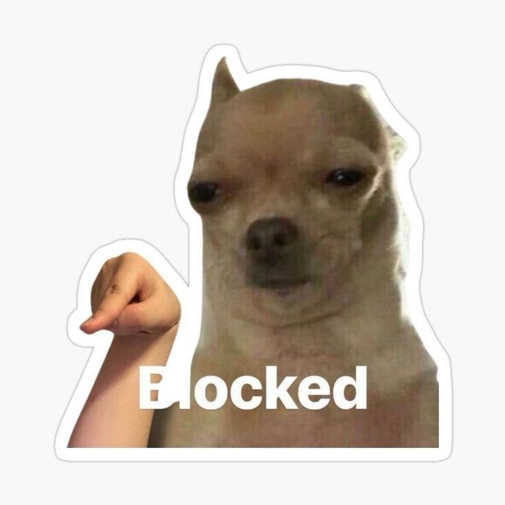 “Blocked.” Chihuahua Meme Sticker