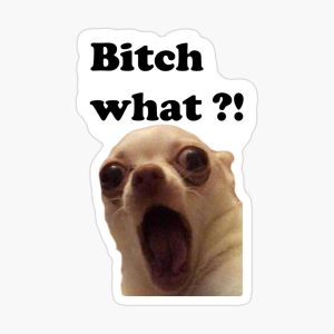 “Bitch What?!” Meme Sticker